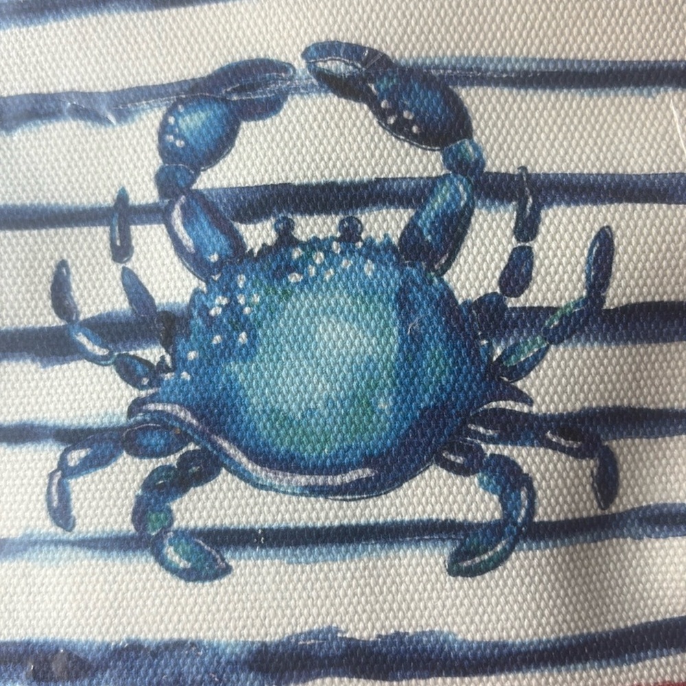 🦀🏖️🦀 BRIGHTON AHOY MATEY MINI TOTE 🦀🏖️🦀  NWT 🦀🏖️🦀 - Picture 6 of 16